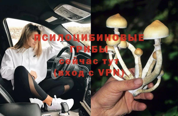 ПСИЛОЦИБИНОВЫЕ ГРИБЫ Арсеньев