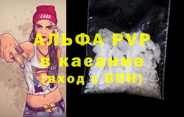 эйфоретик Аркадак