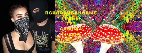 дмт Саяногорск