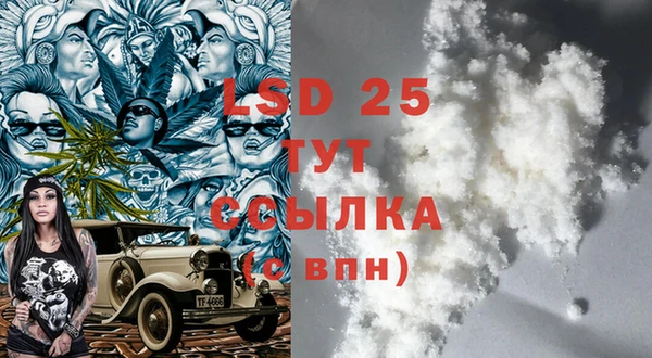 индика Сафоново