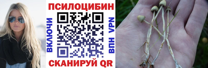 MEGA ССЫЛКА Волхов Галлюциногенные грибы Psilocybe